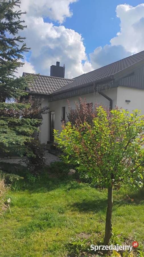 Sprzedam dom ogródek Sprzedaż Białobrzegi sprzedam