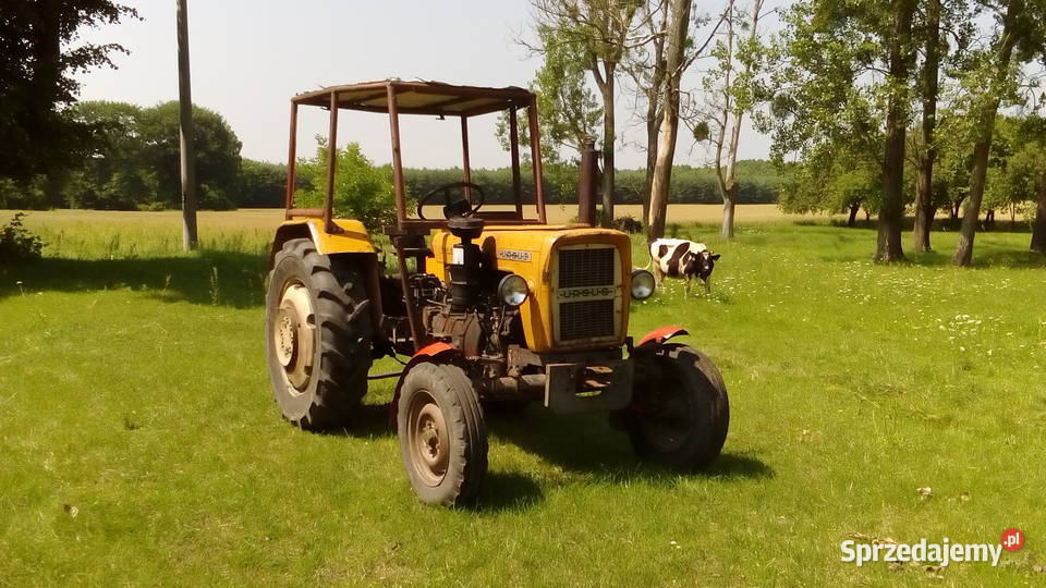 Sprzedam Ursus C330 Radom