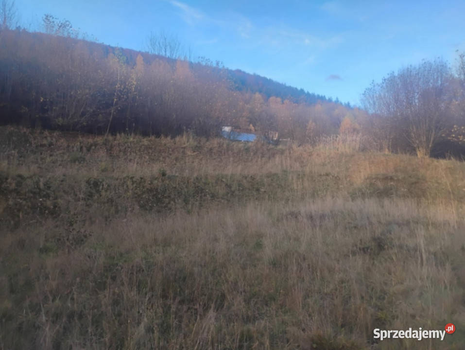 Sprzedam działkę z pięknym widokiem i świetnym Radochów