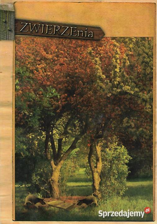 Zwierzenia zbiór opowiadań