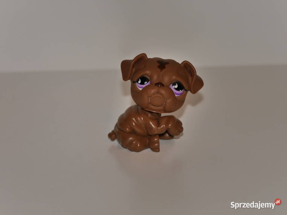 Hasbro Littlest Pet Shop kolekcjonerska figurka Wrocław