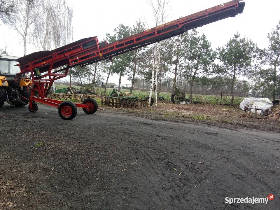 Pryzmownik taśmociąg do warzyw Ostrowąs