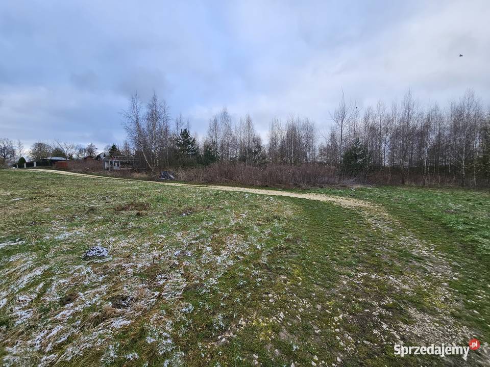 Syndyk sprzeda nieruchomość gruntową Podlasek