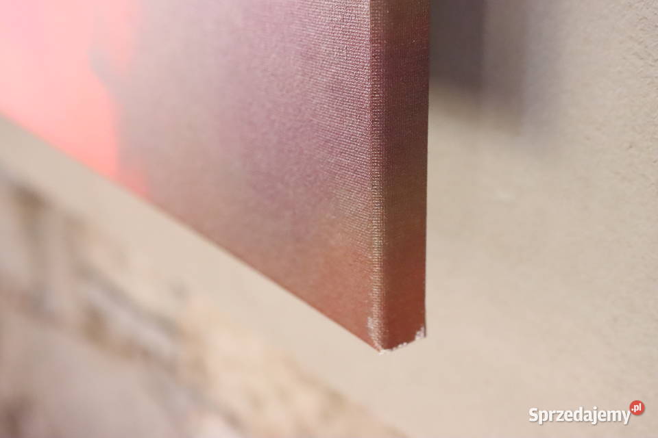 Duży obraz salon pokój jadalnia pracownia Pszczyna