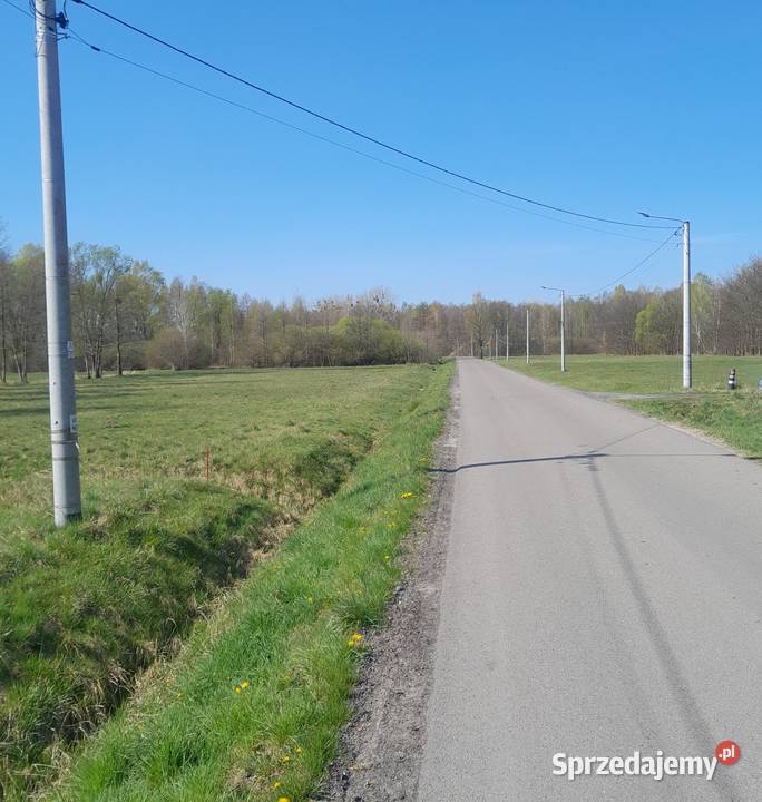 Międzyborów Bieganów Poziomkowa Arbuzowa Sprzedaż
