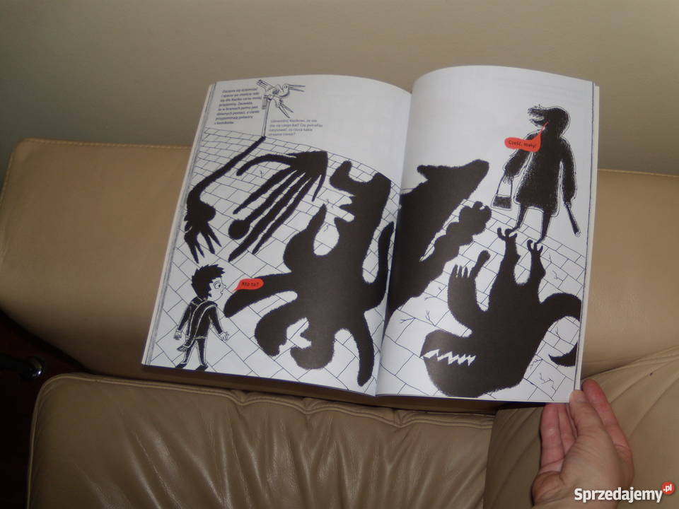 Książka Kazik mieszka w mieście Joanna Rzezak Warszawa sprzedam