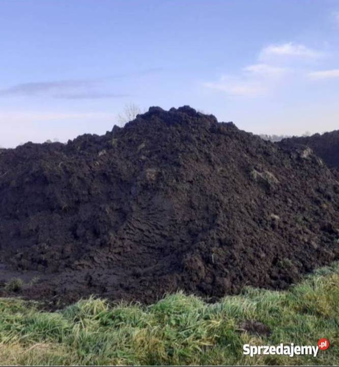 Czarną ziemia do ogródka pod trawnik warzywa itd Tomaszów Lubelski