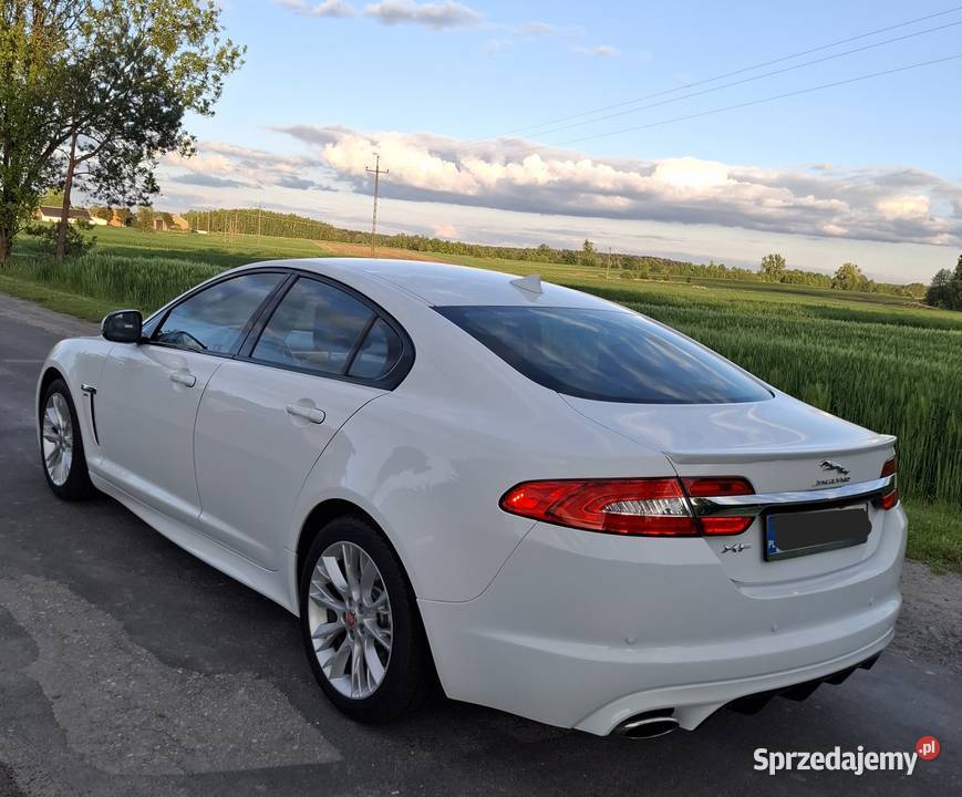 Auto do ślubu Jaguar XF Biały Alpejski Wynajem pojazdów Parczew