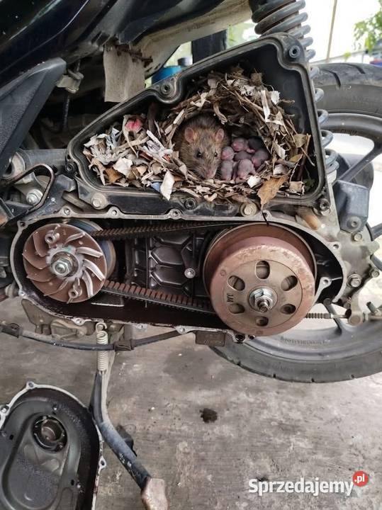 Serwis motocykle skutery motorowery Łódź