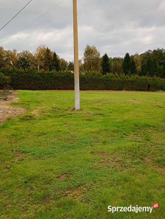 DZIAŁKA BUDOWLANA 1037m2 Wszystkie MEDIA z SUPER śląskie Golasowice sprzedam
