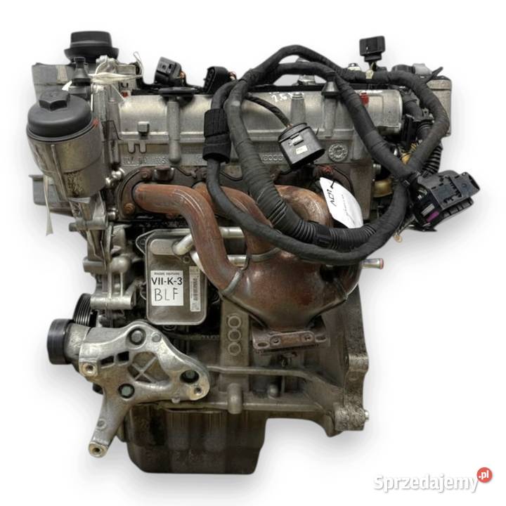 SILNIK BLF VW Touran Golf V Eos Jetta III 16 FSI lubelskie Chełm