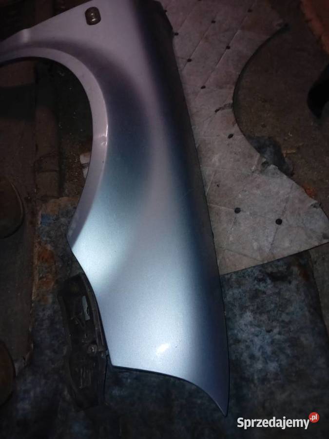 Błotniki passat b5 fl Rok produkcji 2001 dolnośląskie