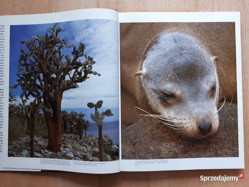 Skarby przyrody Rybnik