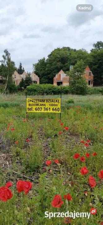 Sprzedam bezpośrednio działkę budowlaną wielkopolskie Biskupice