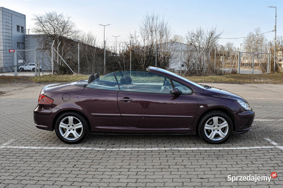 Peugeot 307 20 138 Bezwypadkowy Rok produkcji 2004 Wrocław