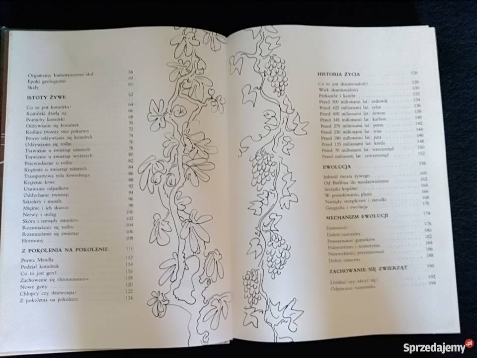 Larousse Ziemia Rośliny Zwierzęt