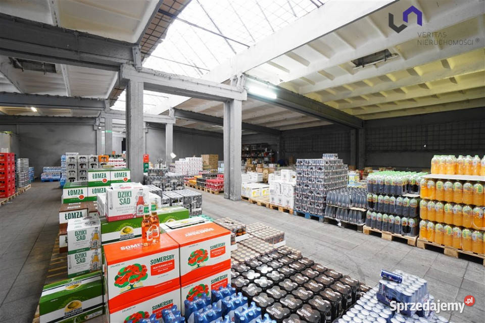 Lokal Katowice 600m2
