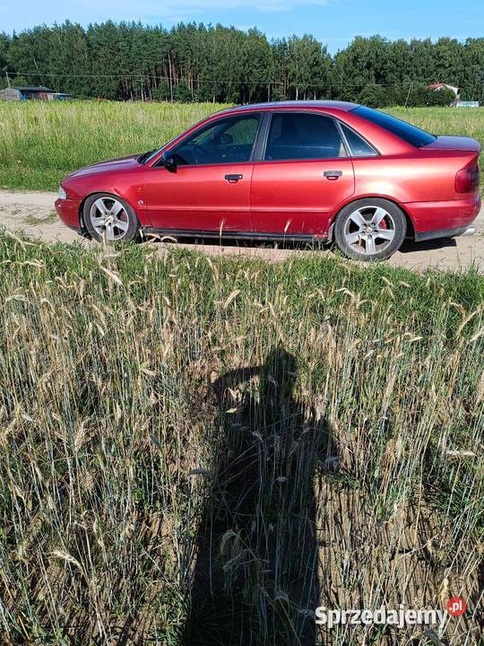 Audi a4b5 16 skóry czarny sufit gleba niska w Nowe Miasto Lubawskie