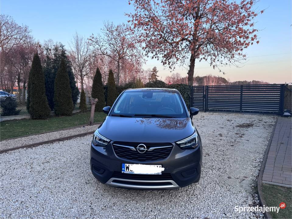 OPEL CROSSLAND X 120 lat 12 benzyna 82 20192020 brązowy mazowieckie Sochaczew