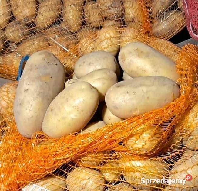 Ziemniaki drobnego kalibru Jeziorany