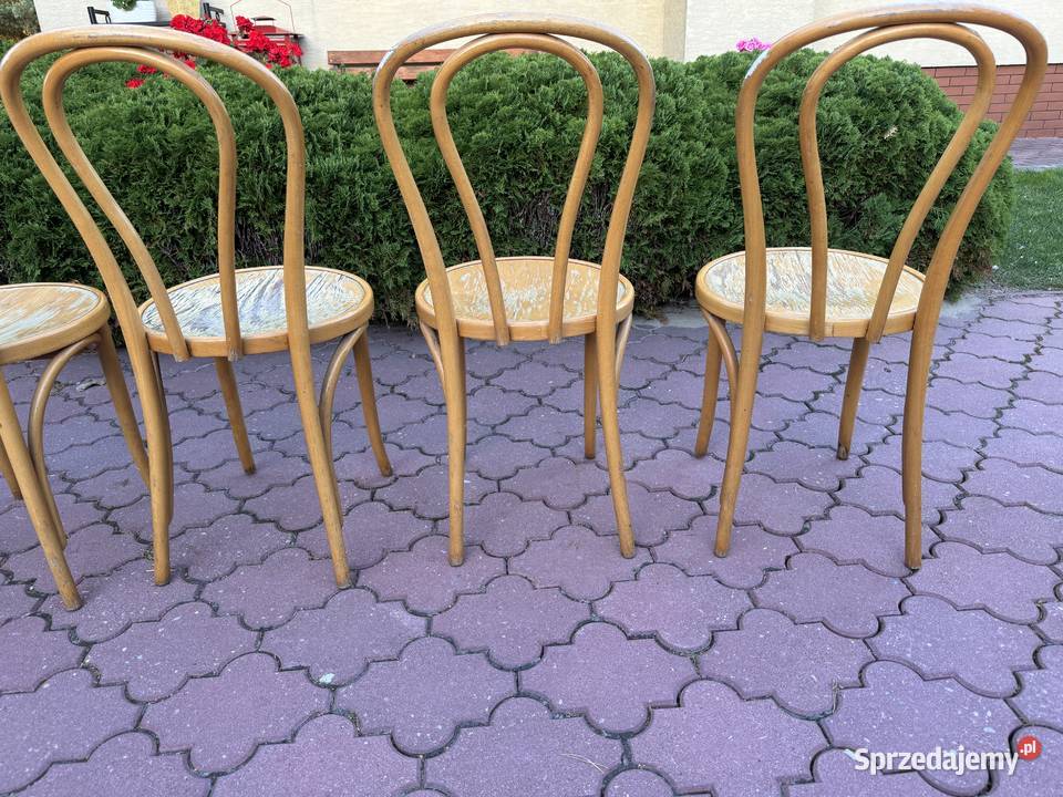 Krzesła gięte 5 Fameg do renowacji art deco
