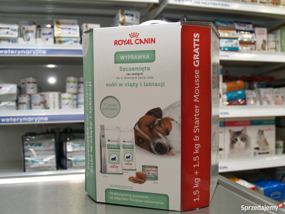 Promocja Royal Canin Karmy psów 1 1 KRAKÓW Akcesoria dla zwierząt Kraków sprzedam
