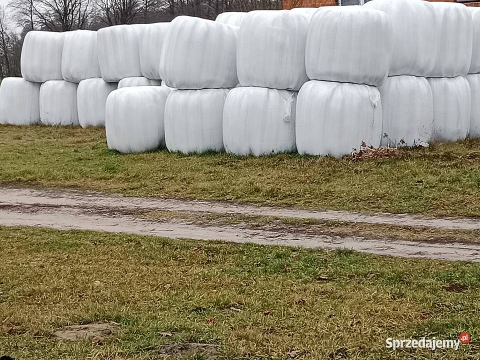 Sprzedam sianokiszonke wielkopolskie Zagórów