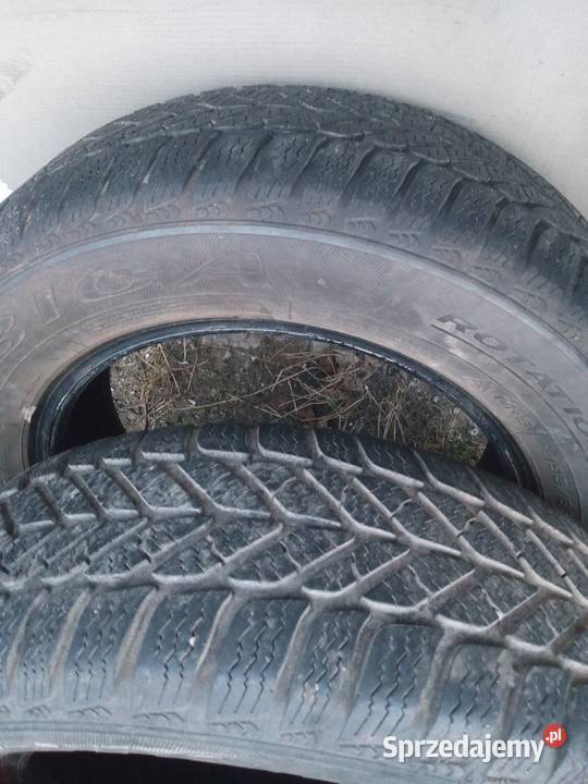 Opony zimowe Dębica 15 1556515 65 świętokrzyskie