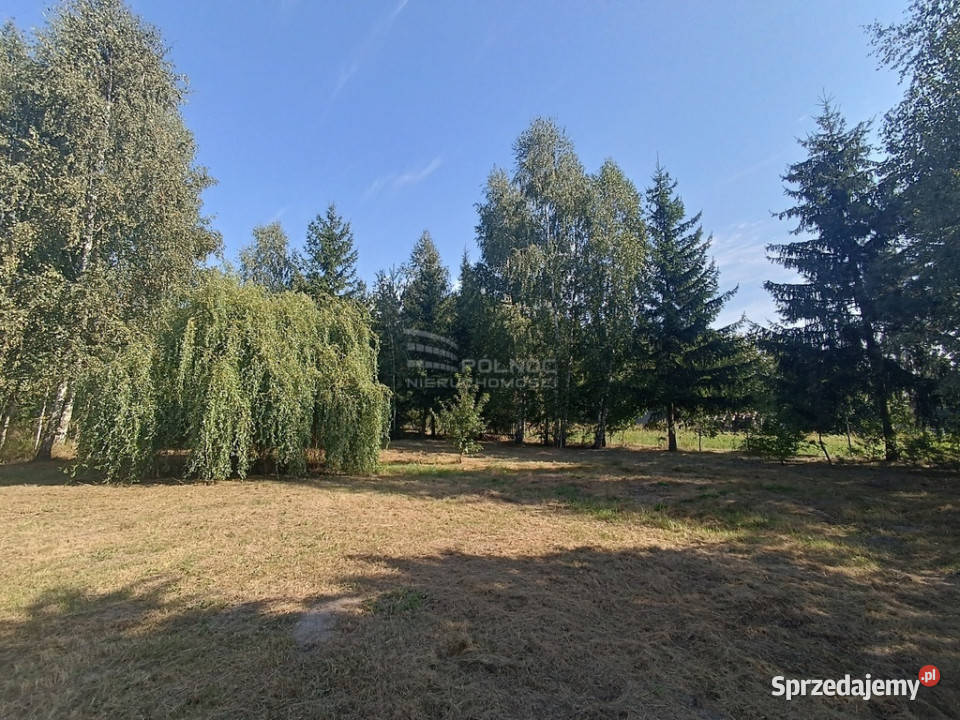 Dom z działka z potencjałem w Dobryniu Dużym Dobryń Duży sprzedam