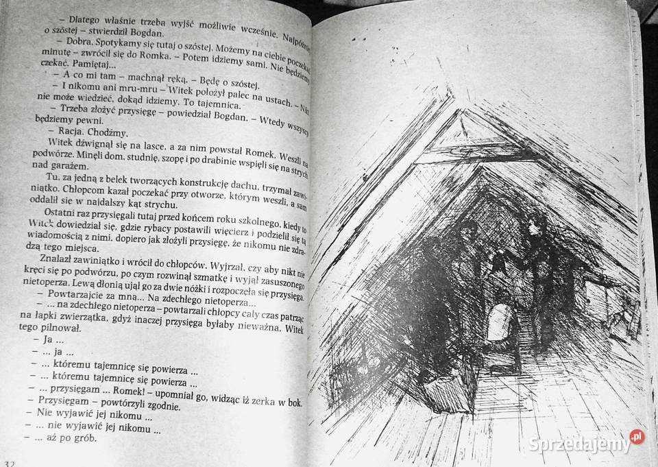 Witek poszukiwaczem skarbów Andrzej Wydmiński