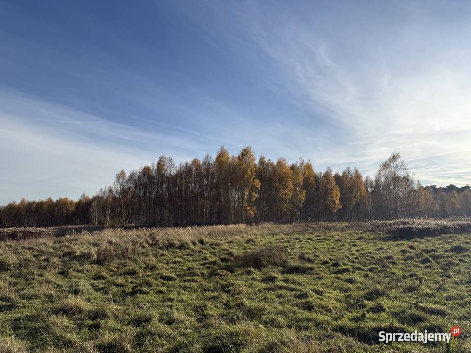 Działka rolna 1300m Wieluń