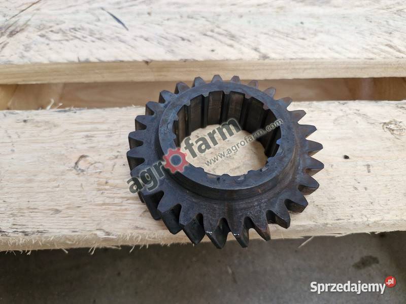 Koło zębate Massey Ferguson 5425 6235 6260 6280 dolnośląskie Byków