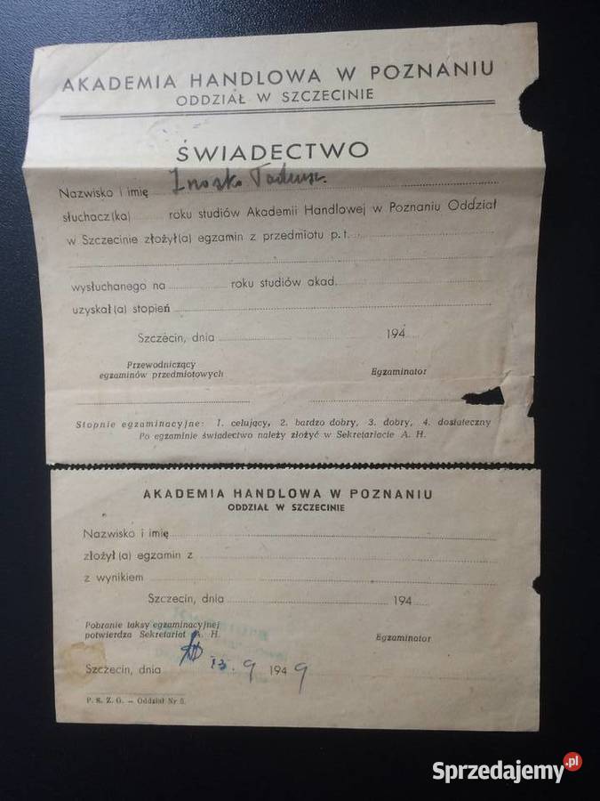 293 Świadectwo Z 1949 roku Antykwariat Szczecin