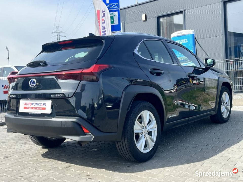 Lexus UX 2019r FV23 Kamera Alcantara automatyczna wielkopolskie