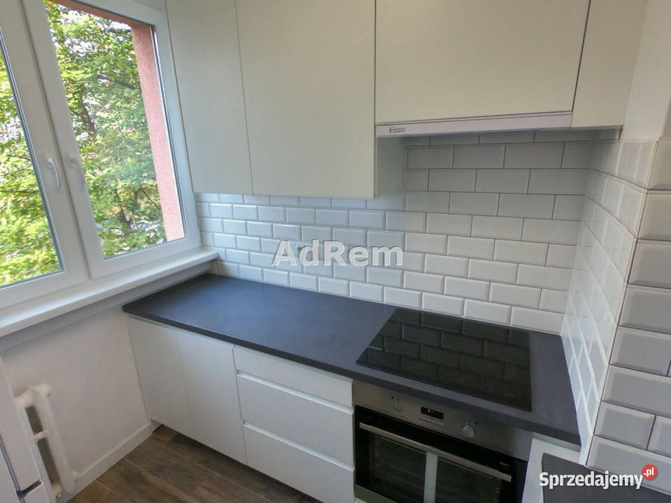 Mieszkanie Wrocław Swobodna 40m2 2 pokoje Wynajem
