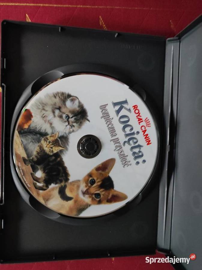 2007 film dvd Royal Canin Kocięta bezpieczna dokument Filmy Filmy świętokrzyskie