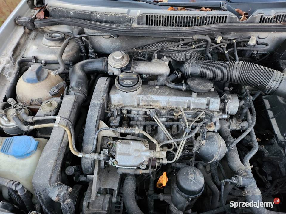 Golf 4 19 tdi alh na części części Samochody na części lubelskie Bychawa