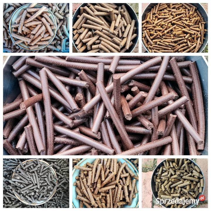 MAKUCH z różnych nasion DOSTAWA Grobia