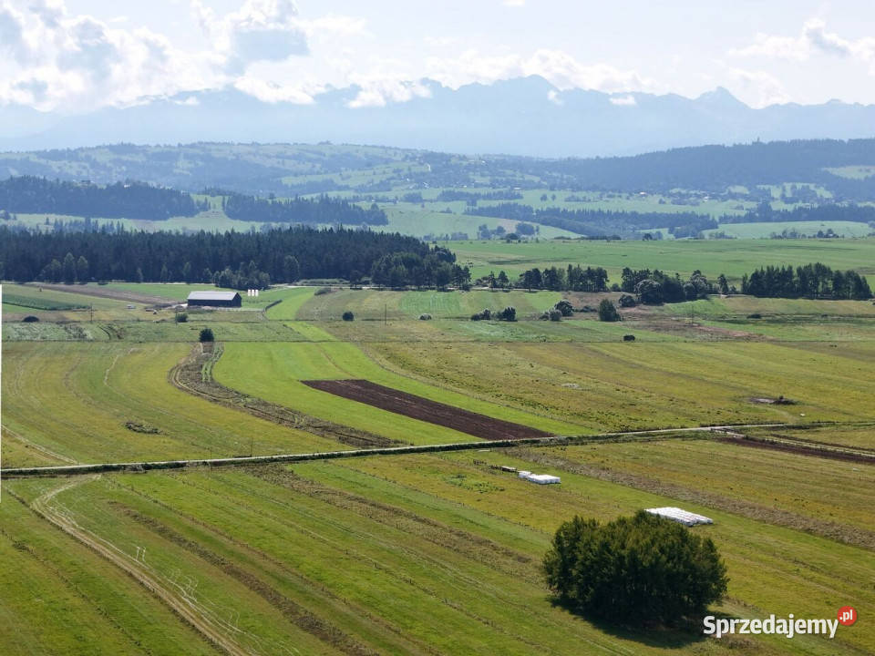 3ha Działki do wynajęcia Wróblówka sprzedam