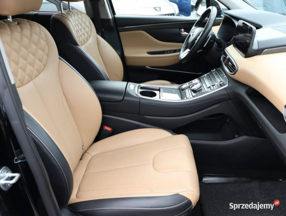 Hyundai Santa Fe Plugin Hybrid ASR (kontrola trakcji) Piaseczno