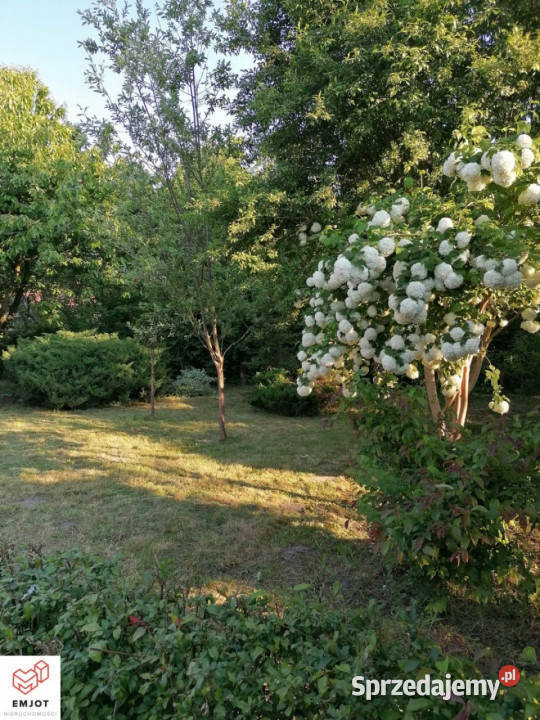 Dom Zduńska Wola 155m2 155m2