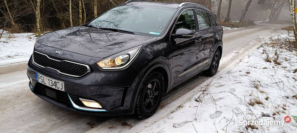 Kia Niro plugin hybryda wielkopolskie Słupca