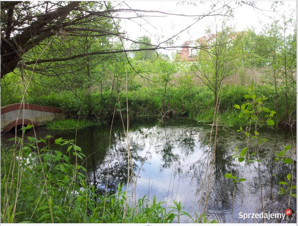 Dom w Teofilach wolnostojący Teofile