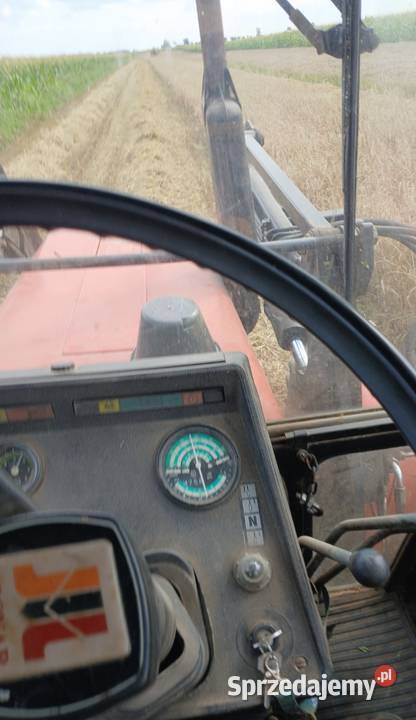 Mtz belarus 82ts Lutocin sprzedam