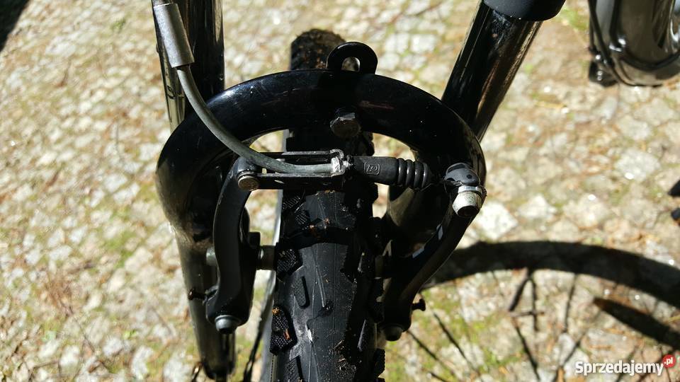 Rower Wheeler 800 26 damka