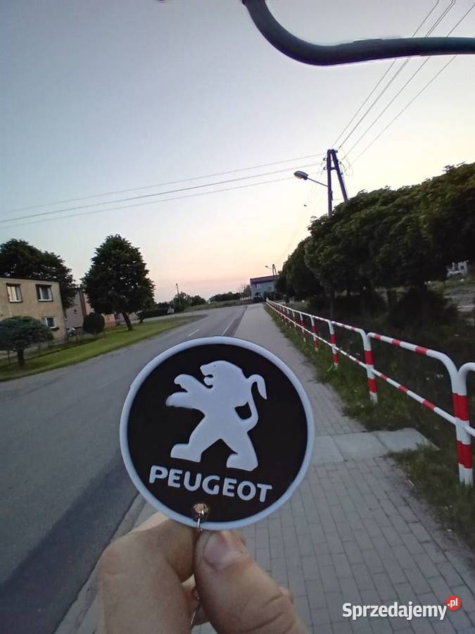 Bryloki peugeot do kluczy Września