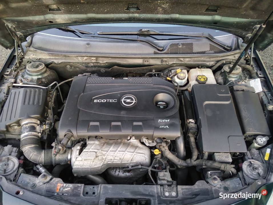 Opel Insignia małopolskie Rączna