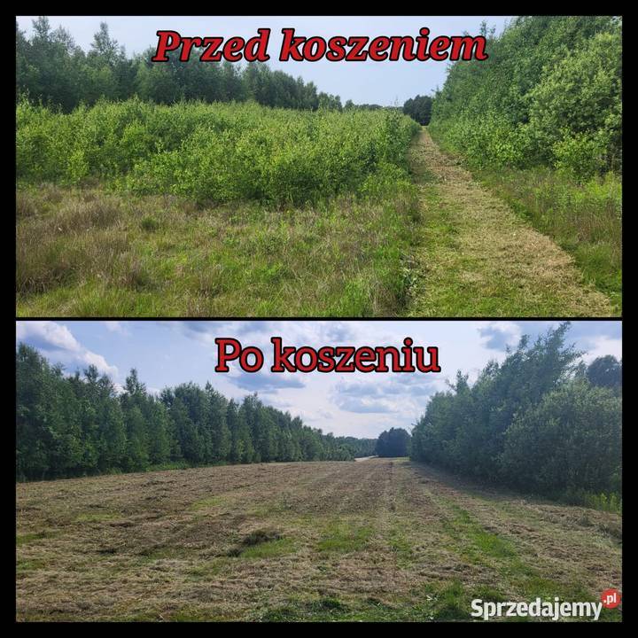 Usługi kosiarką bijakową koszenie trawy ugorów Radom