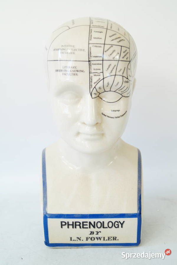 Duża głowa medyczna porcelanowa PHERNOLOGY Gizałki