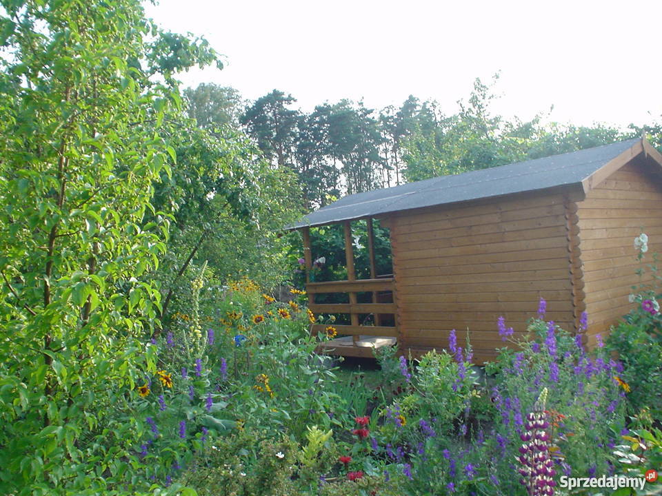 Działka rekreacyjna ROD Grochowa koło Piaseczna Warszawa